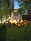 Skládací elektrokolo Levit Chilo 1 - 10.4 Ah/374 Wh