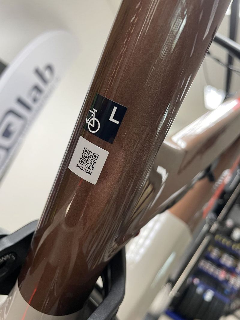 Nové elektrokolo HAIBIKE LYKE CF 10 velikost L 