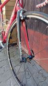 Specialized Allez Comp, vel.52