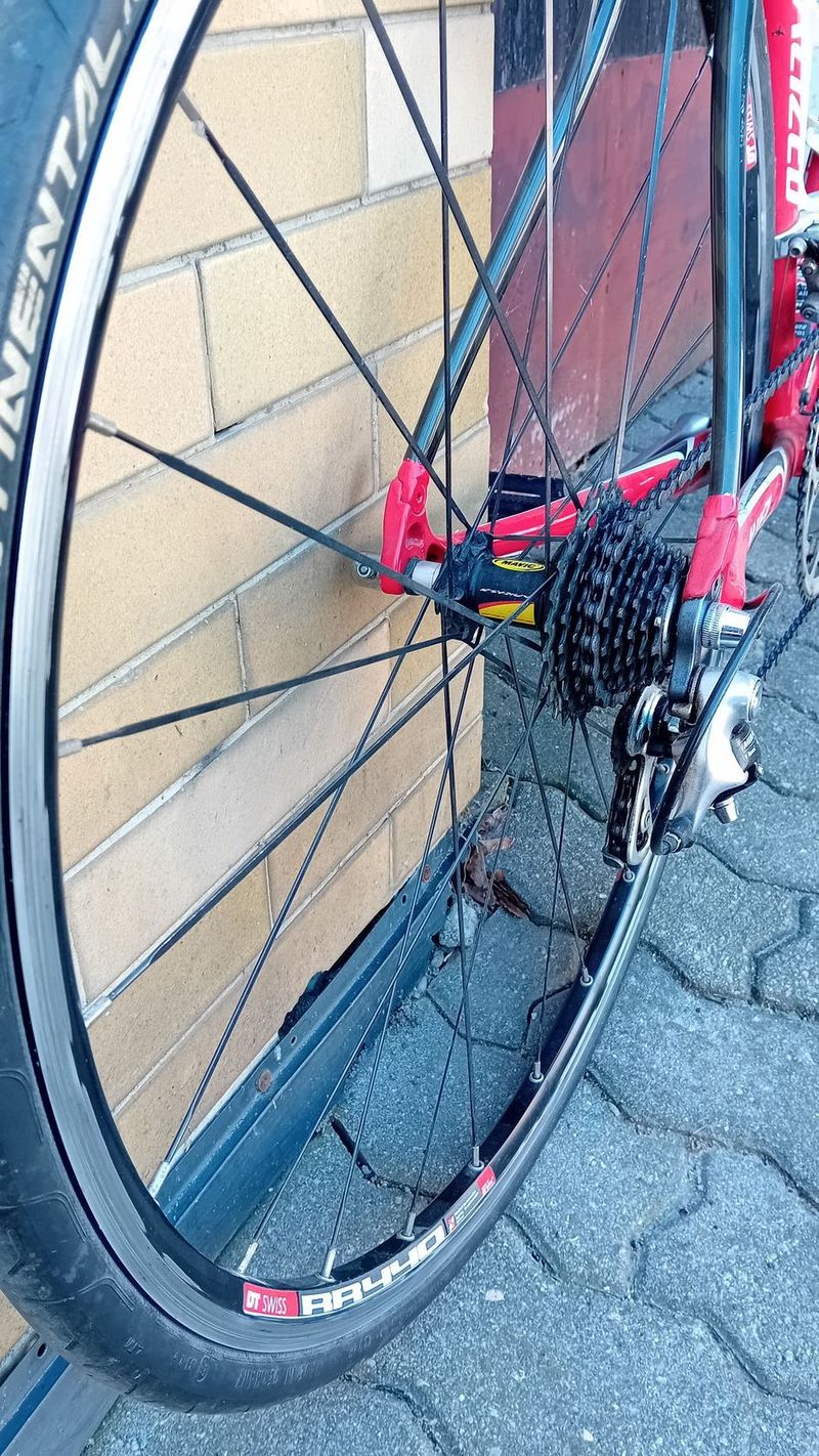 Specialized Allez Comp, vel.52