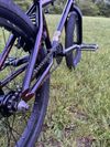 Kink BMX Launch