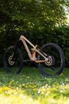 Transition Sentinel CF 