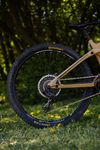 Transition Sentinel CF 