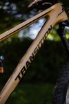 Transition Sentinel CF 