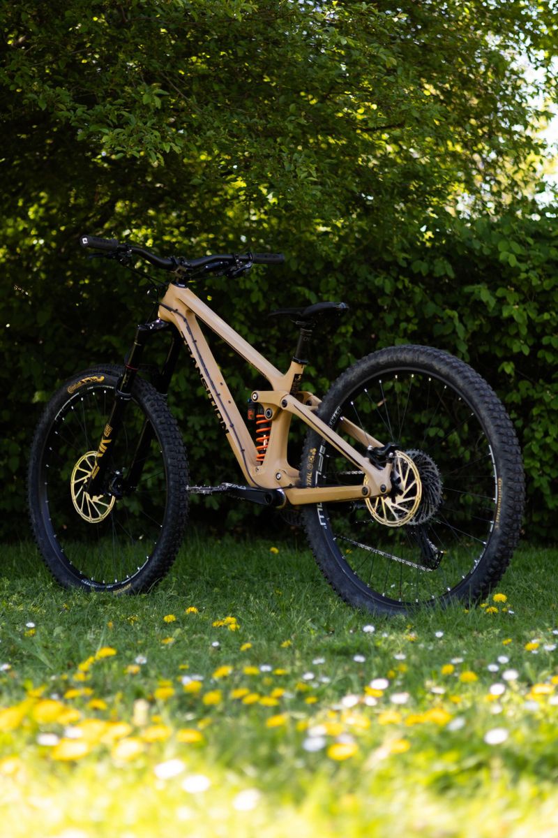 Transition Sentinel CF 