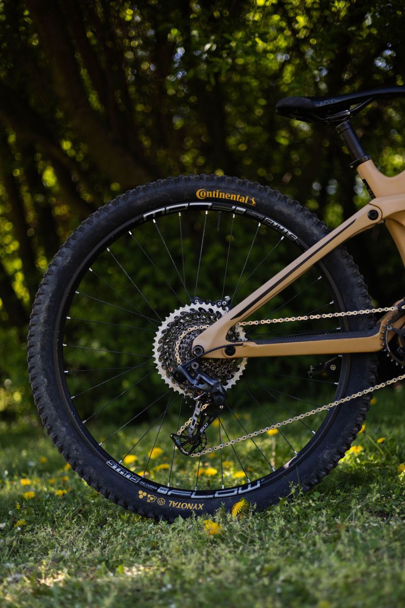 Transition Sentinel CF 