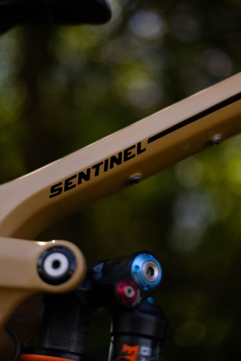 Transition Sentinel CF 