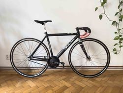 Dráhové kolo Dolan 50 cm ( XS-S ) 