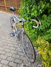 Favorit F1 Special 1986, výbava Campagnolo/Cinelli