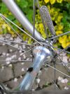 Favorit F1 Special 1986, výbava Campagnolo/Cinelli