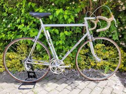 Favorit F1 Special 1986, výbava Campagnolo/Cinelli