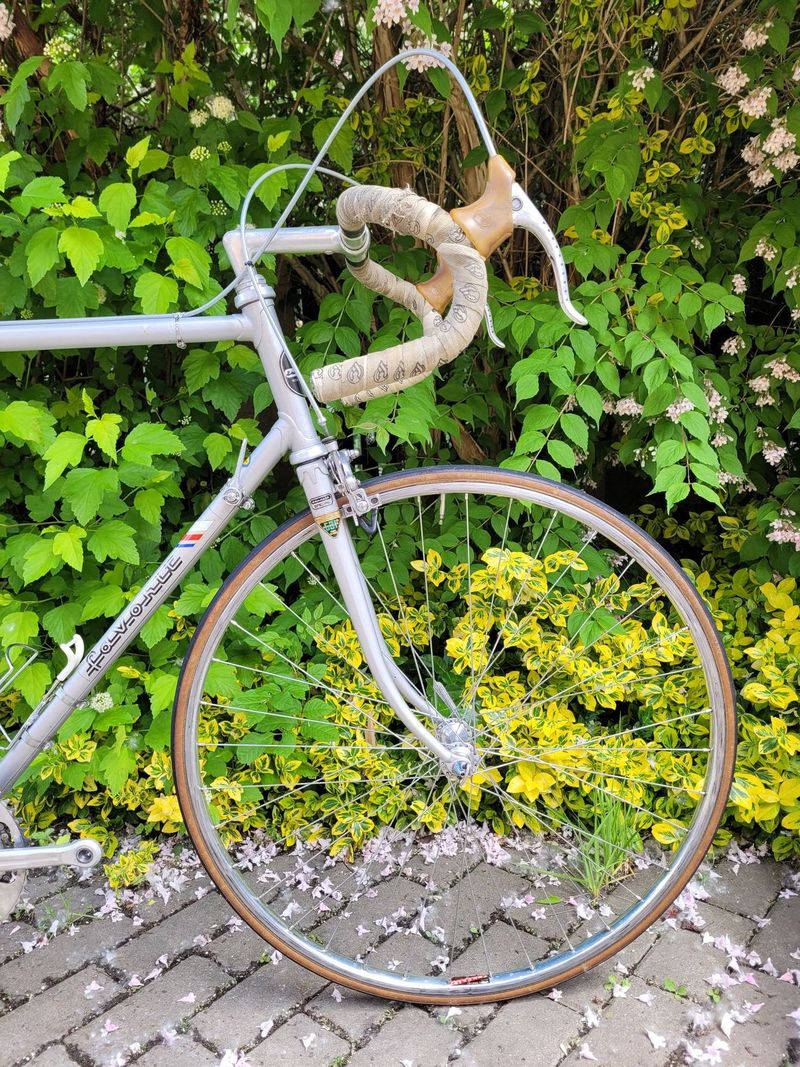 Favorit F1 Special 1986, výbava Campagnolo/Cinelli