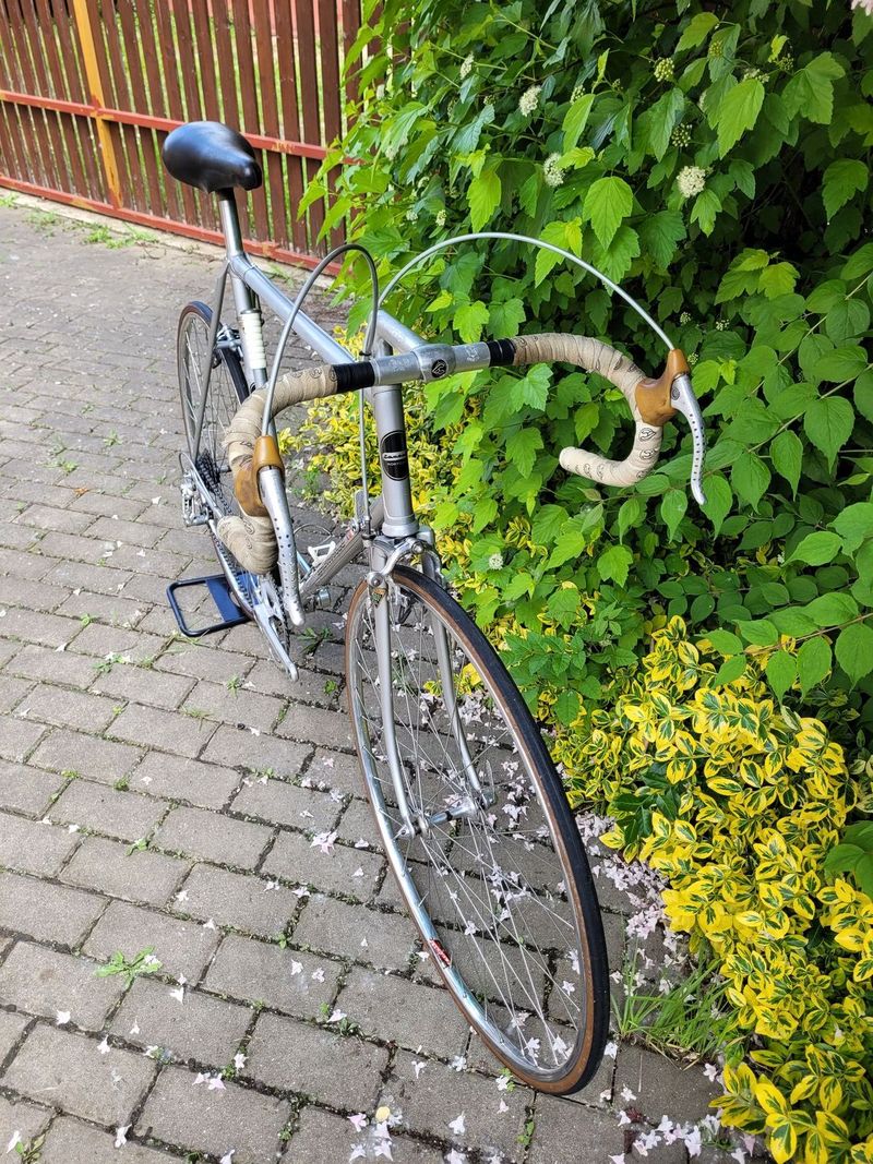 Favorit F1 Special 1986, výbava Campagnolo/Cinelli
