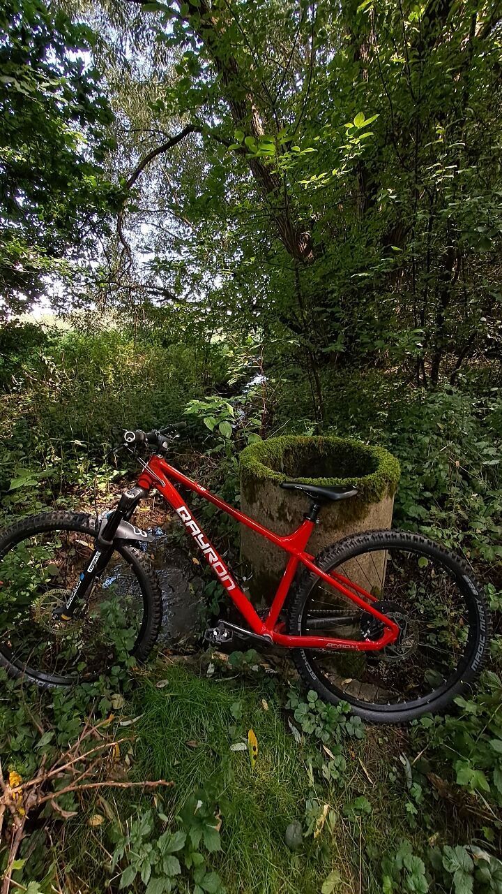 Prodám Qayron spyro mk2 trail 