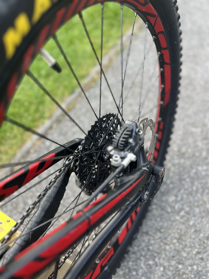 Specialized expert evo