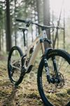 Specialized Stumpjumper EVO Pro T-Type