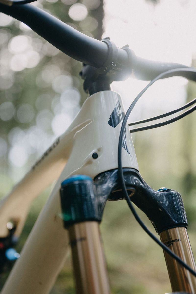 Specialized Stumpjumper EVO Pro T-Type
