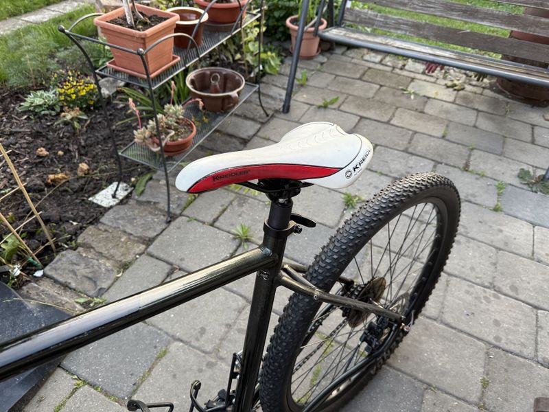 GIANT Talon 29 2-GE XL Phantom 