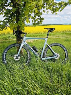 Bianchi Aria