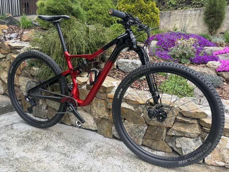 Cannondale Scalpel