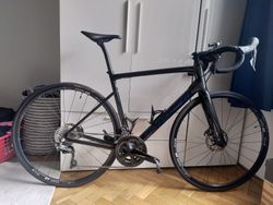 Specialized Roubaix Sport, carbon, velikost 56
