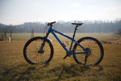 Dartmoor Hornet vel.M