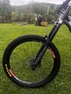 Kellys noid 70