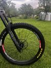 Kellys noid 70