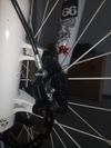 Specialized SX trail
