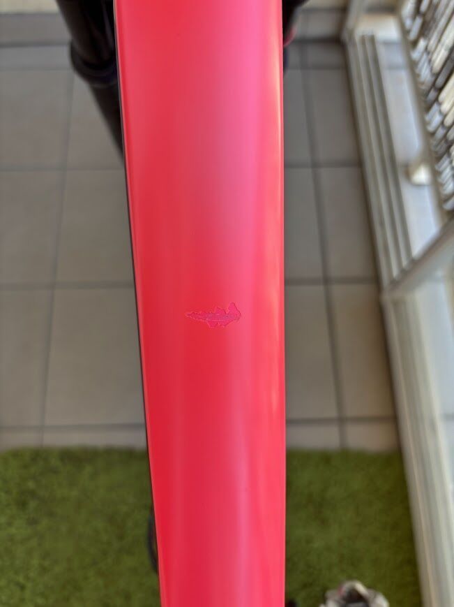 SPECIALIZED EPIC comp