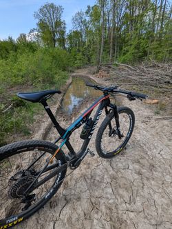 Canyon Lux CF SL 8.0 2020
