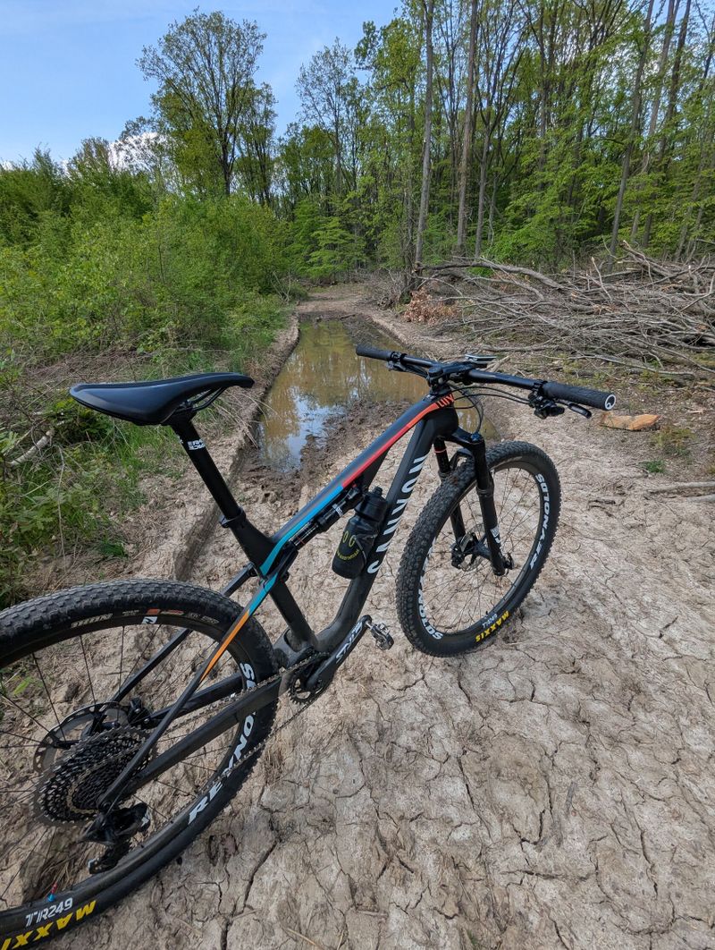 Canyon Lux CF SL 8.0 2020