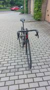 Liv Langma advanced 2