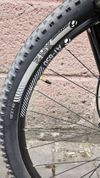 Trek Cali S WSD