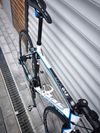 FOCUS Cayo Evo Ultegra LTD