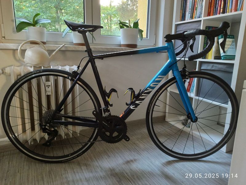 Canyon Endurace Al