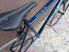Trek domane 2