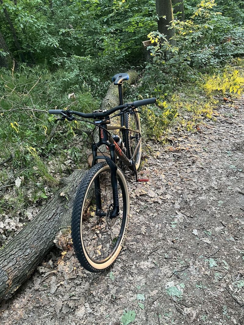 Bmc Twostroke