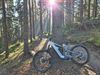 Canyon Strive CFR