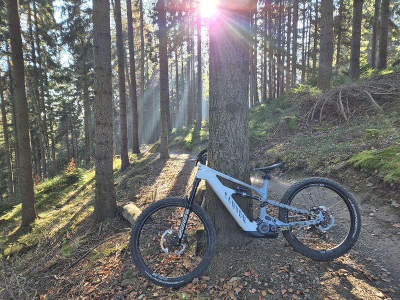 Canyon Strive CFR