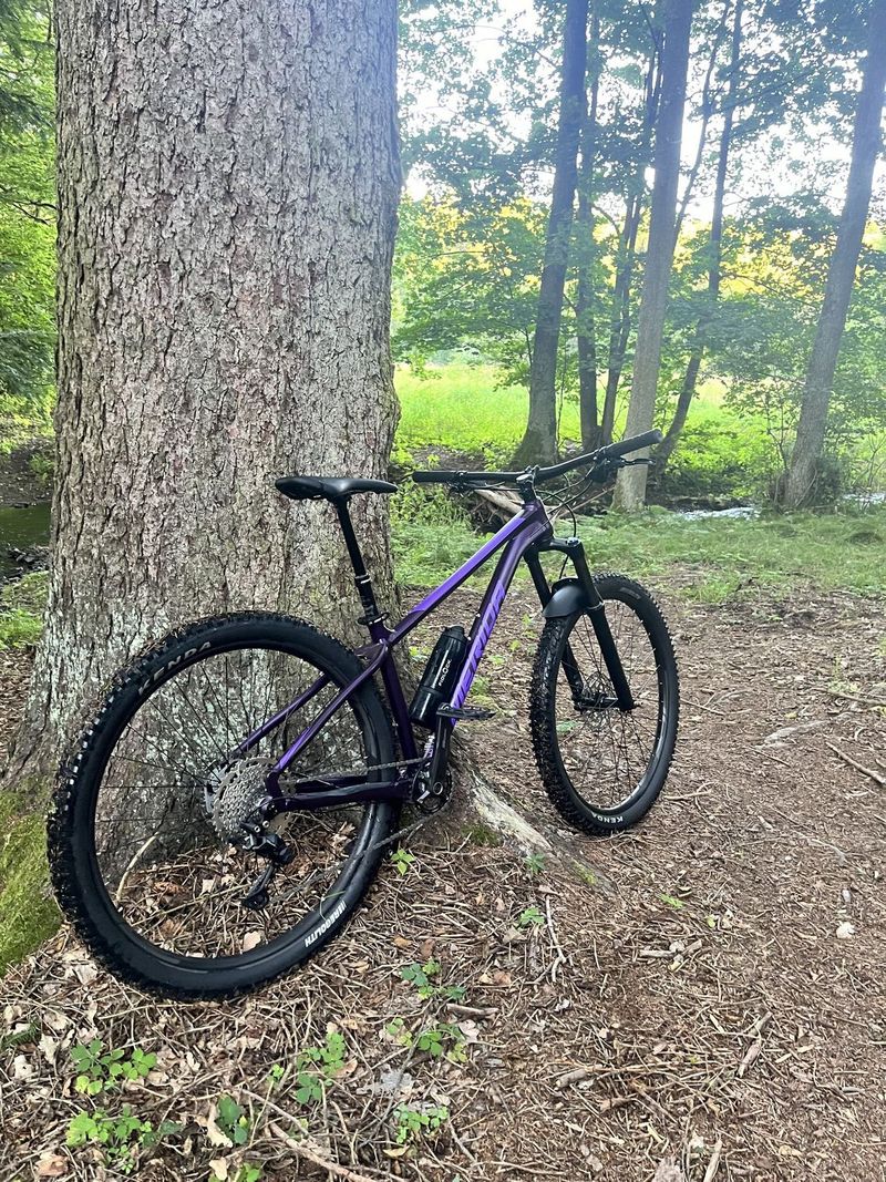 MERIDA BIG.TRAIL 400 Silk Dark Purple(Slv-Purple)