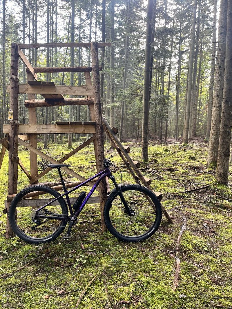 MERIDA BIG.TRAIL 400 Silk Dark Purple(Slv-Purple)