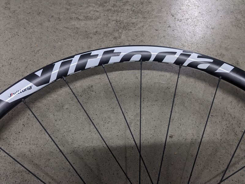 Vittoria 700c Elusion disk; centerlock, pevná osa