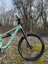 Canyon Torque Mullet AL 5