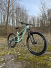 Canyon Torque Mullet AL 5
