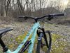 Canyon Torque Mullet AL 5