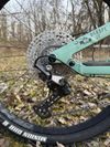 Canyon Torque Mullet AL 5