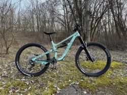 Canyon Torque Mullet AL 5