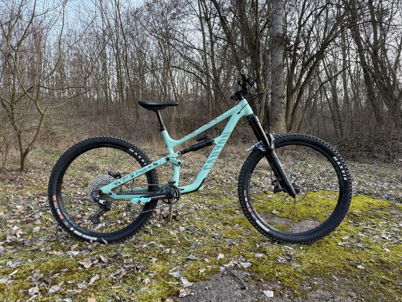 Canyon Torque Mullet AL 5