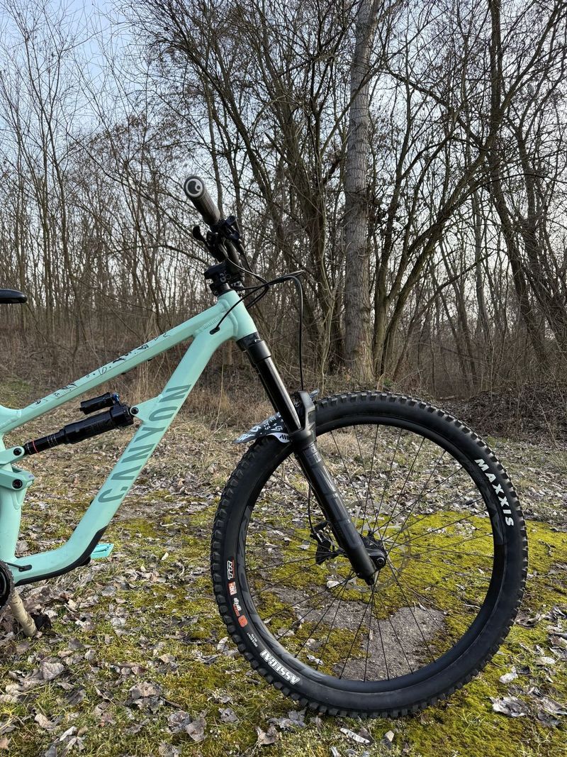 Canyon Torque Mullet AL 5